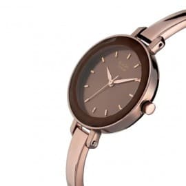 Titan Raga brown dial metal strap watch