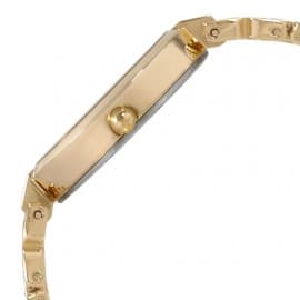 Titan Raga viva champagne dial metal strap watch