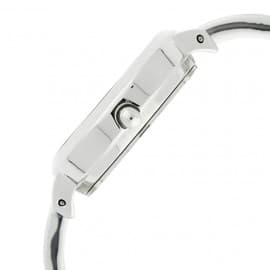 Titan Raga viva silver dial metal strap watch