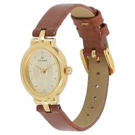 Titan champagne dial brown leather strap watch