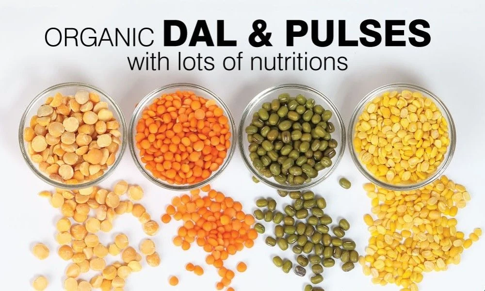 Dal & Pulses